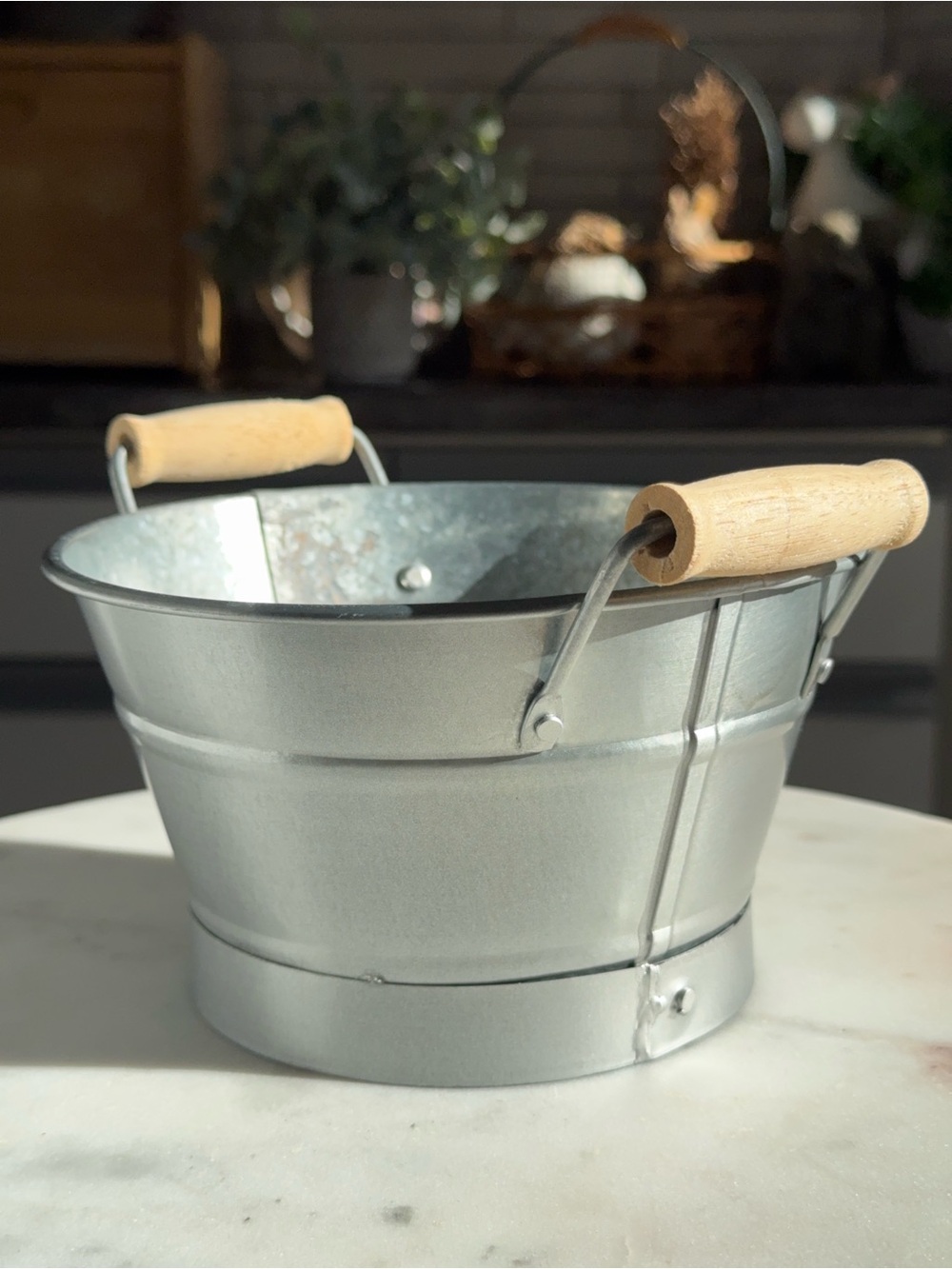 Galvanized Metal Bucket Planter with Wood Handles
